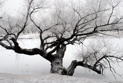Edge of the Arkansas River